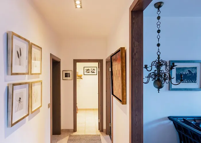 Art House Ars Vivendi *